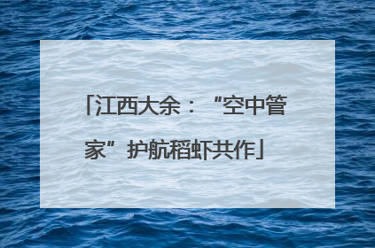 江西大余：“空中管家”护航稻虾共作