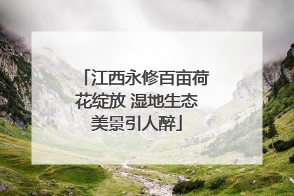 江西永修百亩荷花绽放 湿地生态美景引人醉