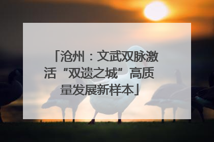 沧州：文武双脉激活“双遗之城”高质量发展新样本