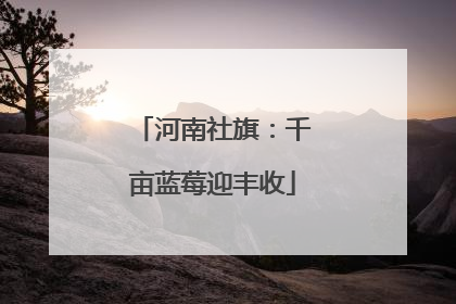 河南社旗：千亩蓝莓迎丰收