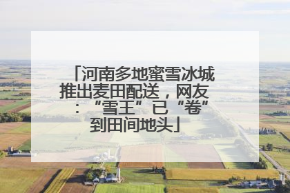 河南多地蜜雪冰城推出麦田配送，网友：“雪王”已“卷”到田间地头