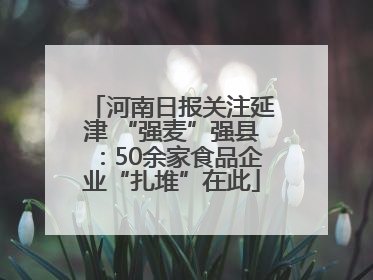 河南日报关注延津 “强麦”强县：50余家食品企业“扎堆”在此