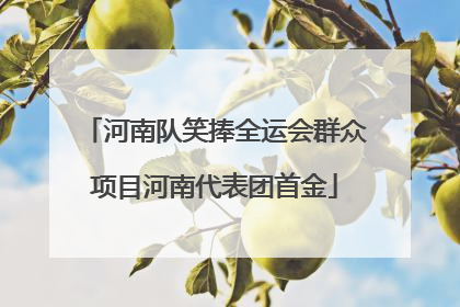 河南队笑捧全运会群众项目河南代表团首金