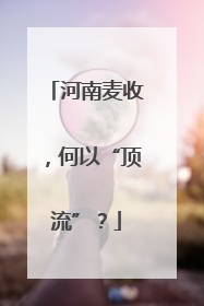 河南麦收，何以“顶流”？