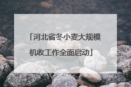河北省冬小麦大规模机收工作全面启动