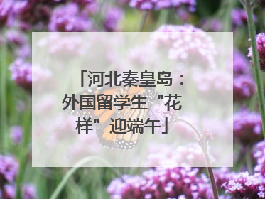 河北秦皇岛：外国留学生“花样”迎端午