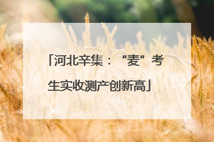 河北辛集：“麦”考生实收测产创新高