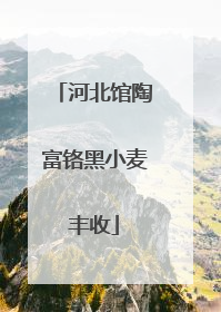 河北馆陶富铬黑小麦丰收
