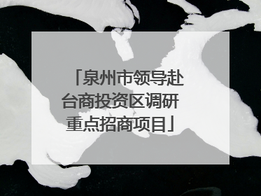泉州市领导赴台商投资区调研重点招商项目