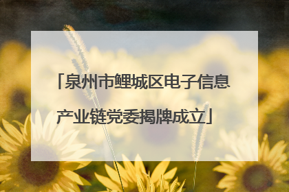 泉州市鲤城区电子信息产业链党委揭牌成立