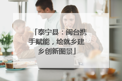 泰宁县：闽台携手赋能，绘就乡建乡创新图景