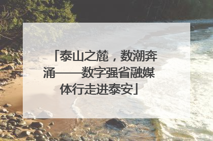 泰山之麓，数潮奔涌——数字强省融媒体行走进泰安