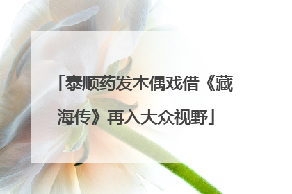 泰顺药发木偶戏借《藏海传》再入大众视野