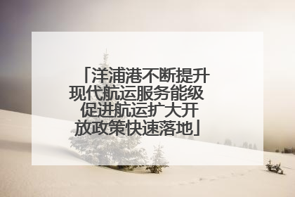洋浦港不断提升现代航运服务能级 促进航运扩大开放政策快速落地
