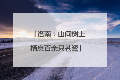 洛南：山间树上栖息百余只苍鹭