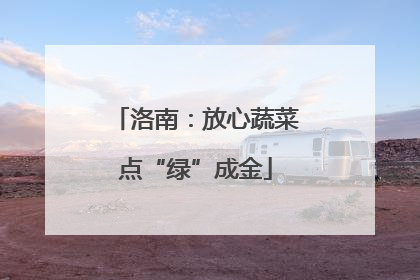 洛南：放心蔬菜点“绿”成金