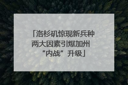 洛杉矶惊现新兵种 两大因素引爆加州“内战”升级