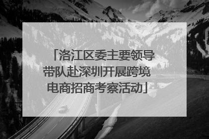 洛江区委主要领导带队赴深圳开展跨境电商招商考察活动