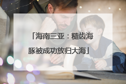 海南三亚：糙齿海豚被成功放归大海