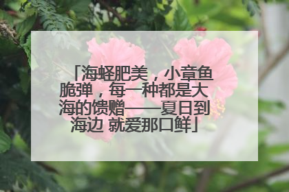 海蛏肥美，小章鱼脆弹，每一种都是大海的馈赠——夏日到海边 就爱那口鲜