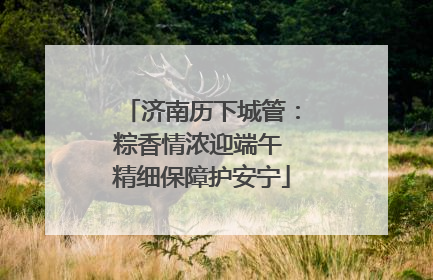 济南历下城管：粽香情浓迎端午 精细保障护安宁