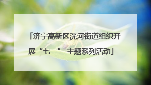 济宁高新区洸河街道组织开展“七一” 主题系列活动