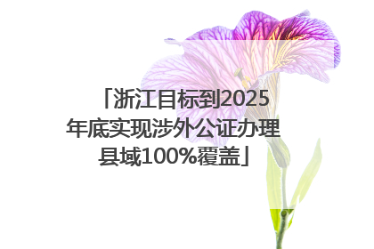 浙江目标到2025年底实现涉外公证办理县域100%覆盖