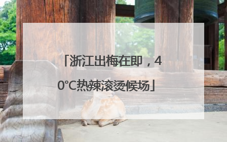 浙江出梅在即，40℃热辣滚烫候场