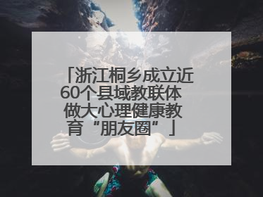 浙江桐乡成立近60个县域教联体 做大心理健康教育“朋友圈”