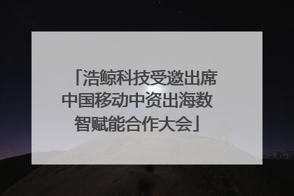 浩鲸科技受邀出席中国移动中资出海数智赋能合作大会