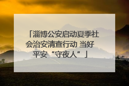 淄博公安启动夏季社会治安清查行动 当好平安“守夜人”