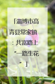 淄博市高青县常家镇：共富路上“一路生花”