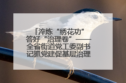 淬炼“绣花功” 答好“治理卷”——全省街道党工委副书记抓党建促基层治理培训示范班侧记