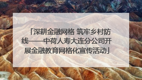 深耕金融网格 筑牢乡村防线——中荷人寿大连分公司开展金融教育网格化宣传活动