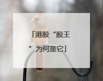 港股“股王”为何是它