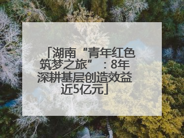 湖南“青年红色筑梦之旅”：8年深耕基层创造效益近5亿元