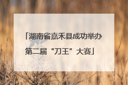 湖南省嘉禾县成功举办第二届“刀王”大赛