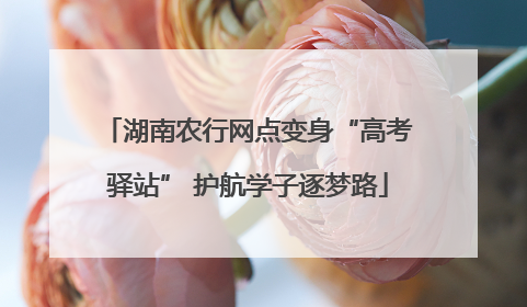 湖南农行网点变身“高考驿站” 护航学子逐梦路