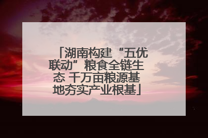 湖南构建“五优联动”粮食全链生态 千万亩粮源基地夯实产业根基