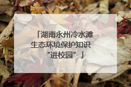 湖南永州冷水滩生态环境保护知识“进校园”