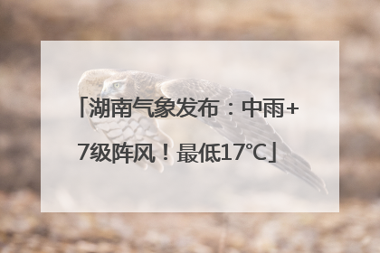 湖南气象发布：中雨+7级阵风！最低17℃
