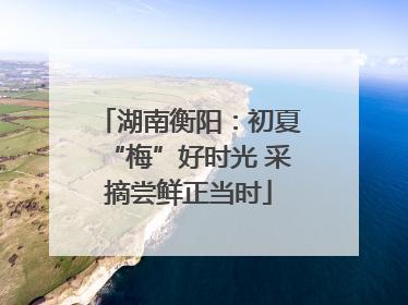 湖南衡阳：初夏“梅”好时光 采摘尝鲜正当时