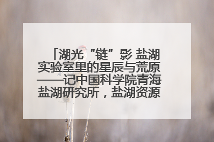 湖光“链”影 盐湖实验室里的星辰与荒原——记中国科学院青海盐湖研究所，盐湖资源化学实验室党总支书记、副主任刘忠