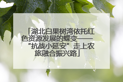 湖北白果树湾依托红色资源发展的蝶变——“抗战小延安”走上农旅融合振兴路
