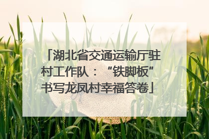 湖北省交通运输厅驻村工作队：“铁脚板”书写龙凤村幸福答卷