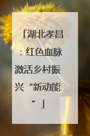 湖北孝昌：红色血脉激活乡村振兴“新动能”