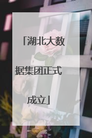 湖北大数据集团正式成立