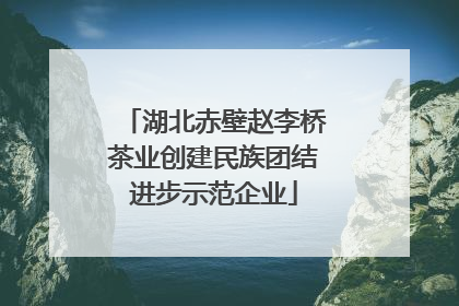 湖北赤壁赵李桥茶业创建民族团结进步示范企业