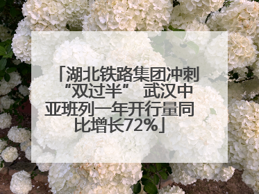 湖北铁路集团冲刺“双过半” 武汉中亚班列一年开行量同比增长72%