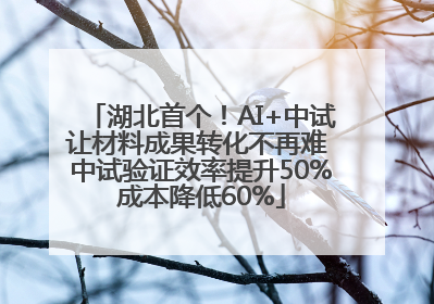 湖北首个！AI+中试让材料成果转化不再难 中试验证效率提升50%成本降低60%